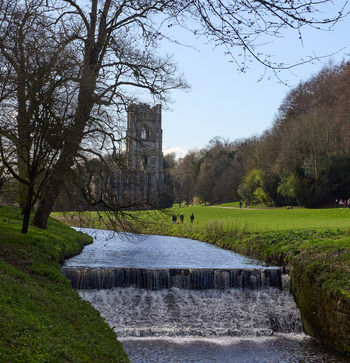 This landscape photograph captures a sunny spring afternoon in North Yorkshire, England, within the scenic Studley Royal Park. The image is dominated by a view looking towards the impressive ruins of Fountains Abbey, one of the most notable landmarks in the United Kingdom and a key feature of the park. In the foreground, the gentle flow of the River Skell creates small cascades as it winds through the lush green parkland framed by trees, some of which are still waiting to fully leaf out for the season. The abbey stands silhouetted behind the river, rising above the landscape and partially revealed through the branches, creating a striking focal point. A few visitors are visible walking along the well-kept grassy paths, enjoying the warm, clear weather typical of a pleasant spring afternoon. The scene perfectly embodies the tranquil beauty of this historic location, with elements such as the river, the iconic church ruins of Fountains Abbey, and the expansive greenery of Studley Royal Park coming together under a bright, sunny sky.